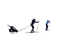 Carrello Thule Ski Kit Noir