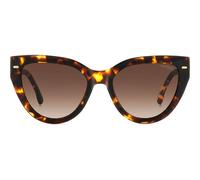 Carrera 3017/S Women's Cat-Eye Sunglasses - Havana Frame, Brown Gradient Lenses