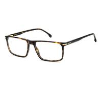 Carrera CARRERA347 LVL, Avana, Acetate, Uomini occhiali 55