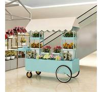 Carretti Espositivi For Mercati, Carretti Alimentari Mobili E Chioschi All'aperto: Perfetti For Venditori Ambulanti, Mercati Contadini, Fiere Dell'artigianato E Spiagge(Green)