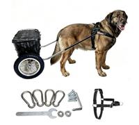 Carretto a due ruote per cani con pettorina e cestello in metallo | Rimorchio con ruote da 12, progettato per allenamento, esercizio, traino di carichi e passeggiate con cani grandi