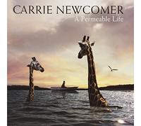 Carrie Newcomer A Permeable Life (Vinyl LP)