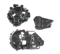 Carrozzeria Motore Inferiore Motocicletta Per BMW S1000R M1000R 2021-2025 Alette Fibra Carbonio Pura Parti Posteriori Parafanghi Kit Carenatura. Accessori(Engine cover 1 set)