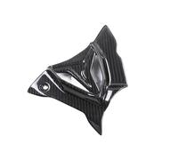 Carrozzeria Motore Inferiore Motocicletta Per BMW S1000R M1000R 2021-2025 Alette Fibra Carbonio Pura Parti Posteriori Parafanghi Kit Carenatura. Accessori(Sprocket cover)