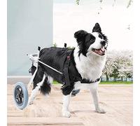 Carrozzina per cani a 2 ruote/Cane disabile regolabile Mobilità per cani Camminata assistita da ruote Auto per disabili e paralizzati Zampe posteriori per animali domestici Riabilitazione Argento (X