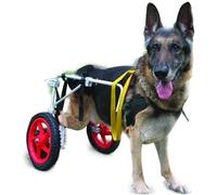 Carrozzina per cani,carrozzina per cani di grossa taglia,carrozzina regolabile per cani,kit deambulatore,per portare a spasso cani con disabilità alle zampe posteriori
