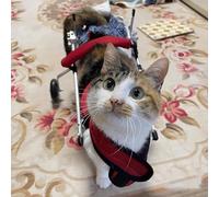 Carrozzina per Cani di Piccola Taglia e Gatti - Ausilio per la Mobilità delle Zampe Posteriori, Carrello per Animali feriti/disabili, migliora la Mobilità e Il Recupero di Piccoli Animali do