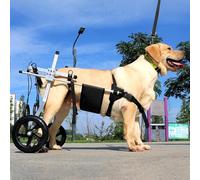 Carrozzina per Cani di Taglia Media/Grande, ausilio per la Mobilità degli Animali Domestici per Cani Anziani, Carrello di Supporto per Le Zampe Posteriori per Animali di Piccola Taglia, deam