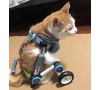 Carrozzina per Cani Disabili Sedia a Rotelle Carre Carrozzina per Animali Domestici per Gambe Posteriori Cane Gatto Carrello, Carrello per Sedie A Rotelle con Gambe Posteriori per Cuccioli da Interno