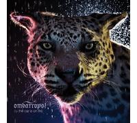 Cars Is On Fire - Onbarrops