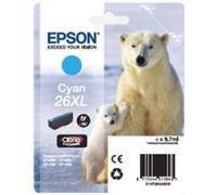 CART.INK ORSO POLARE CIANO XL