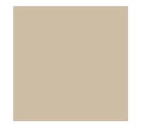 Carta Antigrasso Basket Natural 31x38 cm 1000 pz - Garcia de Pou - Frittura
