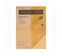 Carta Bapi Pergamena Avorio A4 110 gr. 25 ff