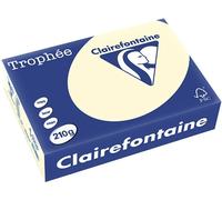 Carta Colorata Clairefontaine Avorio A4 210 g/m² (250 fogli)