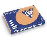 Carta Colorata Clairefontaine Caramel A3 160 g/m² (250 fogli)