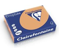 Carta Colorata Clairefontaine Caramel A4 80 g/m² (500 fogli)