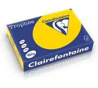Carta Colorata Clairefontaine Oro giallo A4 160 g/m² (250 fogli)