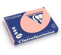 Carta Colorata Clairefontaine Salmon A3 160 g/m² (250 fogli)