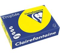 Carta Colorata Clairefontaine Sunny giallo A4 210 g/m² (250 fogli)
