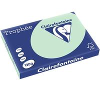Carta Colorata Clairefontaine Verde A3 120 g/m² (250 fogli)