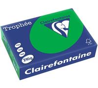 Carta Colorata Clairefontaine Verde Biliardo A4 210 g/m² (250 fogli)