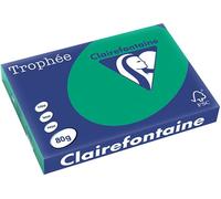 Carta Colorata Clairefontaine Verde pino A3 80 g/m² (500 fogli)