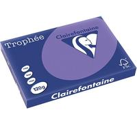 Carta Colorata Clairefontaine Violet A3 120 g/m² (250 fogli)