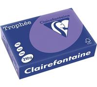 Carta Colorata Clairefontaine Violet A4 210 g/m² (250 fogli)