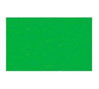 Carta da disegno, formato DIN A4, 130 g/mq, 100 fogli, colore: verde erba