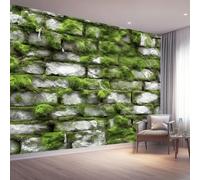 Carta da Parati 250 x 175 cm, Fotografia Texture Muro Di Pietra Muschio Poster Giganti da Parati Sfondo Murale Fotografica per Soggiorno Camera Ristorante Camera dei Bambini Decorazione, Verde Bianco