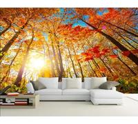 Carta Da Parati 3D Boschi Montagne Fotomurali Murale Decorazione Sfondo Custom Wallpaper -songqians-04533-380cmx255cm