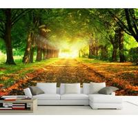 Carta Da Parati 3D Boschi Verdi Montagne Fotomurali Murale Decorazione Sfondo Custom Wallpaper -songqians-02546-400cmx280cm