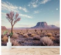 Carta da Parati 3D Deserto Montagne Cielo Stellato Paesaggi Selvaggi | Texture Decorative e Lussuose Ideali per Uffici Zone Studio Abitazioni Camere da Letto Soggiorni Pareti D'effetto-200cm×140cm