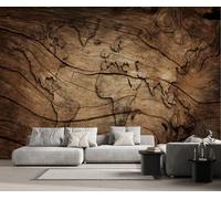 Carta Da Parati 3D Effetto Legno Mappa Del Mondo 400x255cm Fotomurali Decorazione Muro Poster Gigante Design Murali -ZXCHEE-MZ04786
