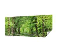 Carta da Parati Adesiva 250x104 cm Antimacchia Autoadesiva Stampa di Alta Qualità per Soggiorno e Camera da letto Decorazione della Parete Montaggio Murale - Sentiero nel bosco