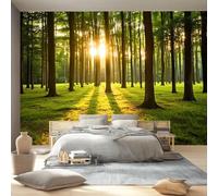 Carta da Parati Adesiva Scenario naturalele 200 x 140 cm, Fotomurali Adesivi Murali Rivestimento Parete Moderna per Pareti Adesiva Muro Decorativo Fotomurale Verde Giungla Alberi Sole