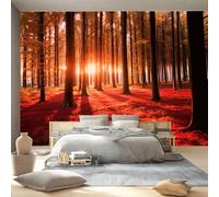 Carta da Parati Adesiva Scenario naturalele 200 x 140 cm, Fotomurali Adesivi Murali Rivestimento Parete Moderna per Pareti Adesiva Muro Decorativo Fotomurale Rosso Giungla Sole Mattutino Foglie Cadute