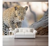 Carta Da Parati Animali Naturali Giallo Leopardo Legno Morto 350 X 256 Cm Vello Sfondo Murale Xxl Moderne Decorazione Grande Sfondo Per Tv Soggiorno Camera De Letto Sala Ufficio