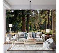 Carta da parati autoadesiva di dimensioni personalizzate, con scena della foresta serena, alberi maturi, pino, erba verde lussureggiante, muschio - tessuto da parete autoadesivo (senza PVC), carta da