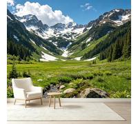 Carta da parati autoadesiva, dimensioni personalizzate, paesaggio di montagna serena, valle con cime innevate, prato di fiori selvatici, in tessuto rimovibile, grande, decorazione da parete per