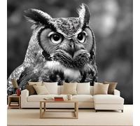 carta da parati camera da letto 500x280cm Gufo carta da parati 3d Serie In Bianco E Nero Hotel e Boutique Decorazione Testata Letto Murale Arte da Parete Decorativa