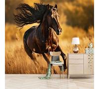 carta da parati cameretta 250x420cm Cavallo In Corsa carta da parati soggiorno Composizione murale senza wallpaper, su tela senza giunture, per loft o studio EB24-2809