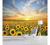 Carta da parati Campo Di Girasoli, 150x105cm Fotomurali in Seta Campo Orizzonte Decorazione da Muro XXL Poster Gigante Design per Ufficio TV Sfondo, Giallo