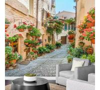 Carta da Parati Città Italiana 350x250 cm Fotomurale da Parete Viale del Giardino Carta Parati Adesiva Muro 3D Poster Giganti da Parete Camera da Letto Soggiorno A-6021