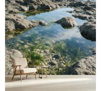 Carta da parati di dimensioni personalizzate, marea costiera, piscina, rocce marine, alghe subacquee, stampe artistiche autoadesive in tessuto rimovibile grande carta da parati per la casa e il