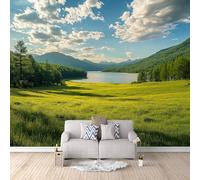 Carta Da Parati Effetto 3D Foresta Del Lago Di Prateria 300x256 cm Fotomurali Non Tessuto, Paesaggio Naturale Decorazione Poster Arte Murale Moderna per Casa Ufficio Camera Da Letto Soggiorno.