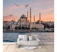 Carta Da Parati Effetto 3D Paesaggio Di Istanbul 300x256 cm Fotomurali Non Tessuto, Decorazione Poster Arte Murale Moderna per Casa Ufficio Camera Da Letto Soggiorno.