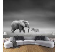 Carta Da Parati Effetto 3D Zebra Elefante 250×170cm Fotomurali Non Tessuto, Praterie Africane Animali Decorazione Poster Arte Murale Moderna per Casa Ufficio Camera Da Letto Soggiorno