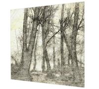 Carta da Parati Fliselina 250x250cm per Soggiorno e Camera da letto Montaggio Murale Decorazione da Muro Stampa di Alta Qualità Colla Inclusa Facile da Pulire - Malinconia della foresta