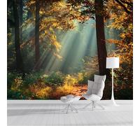 Carta da Parati Foresta Decidua 150x105cm - Fotomurali in Seta Foresta Autunnale Decorazione da Muro XXL Poster Gigante Design per Per Soggiorno Tv Sfondo Muro Decorazioni, Giallo Dorato
